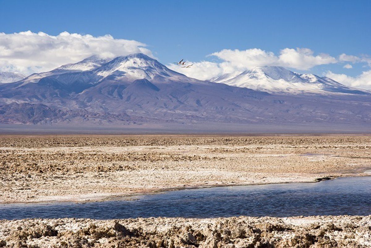 BMW Group participa en proyecto sustentable de minería de litio en Chile