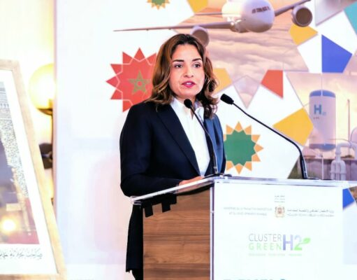 Appel à la concurrence pour l’exploitation de 361 mines dans les régions de Tafilalet et Figuig