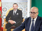 Programme de 11 milliards de DH de reconstitution du cheptel pour les petits éleveurs : les détails du ministère de l’Agriculture