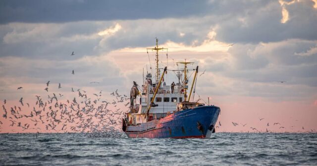Renforcement de la filière halieutique par le gouvernement pour contrôler