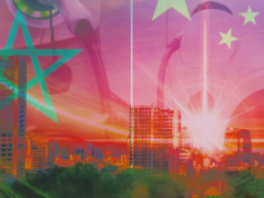 Le Maroc, deuxième destination mondiale des investissements chinois dans les technologies bas carbone