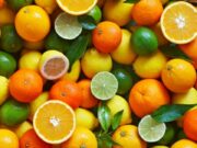 Marché des agrumes en Afrique du Sud, en Egypte et au Maroc : les défis des leaders africains | Le360.ma