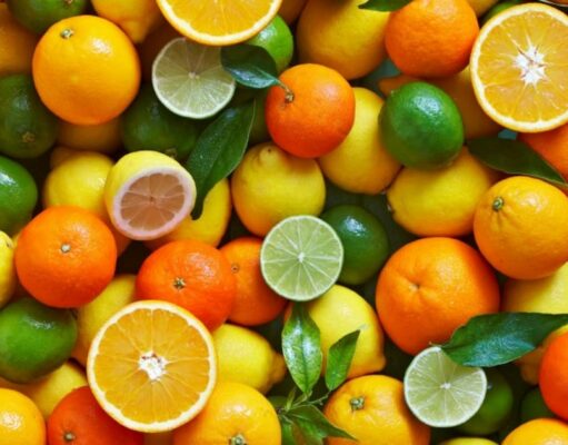 Une augmentation modérée de la production d’agrumes prévue pour 2025-2026