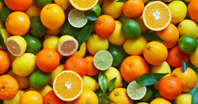 Marché des agrumes en Afrique du Sud, en Egypte et