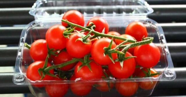 La tomate marocaine suscite toujours la colère des agriculteurs français