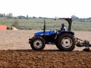Pluies bénéfiques dans la région de Rabat : des travaux agricoles intensifs effectués