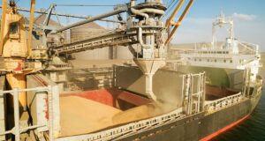 Dépendance du Maroc aux marchés internationaux pour les céréales