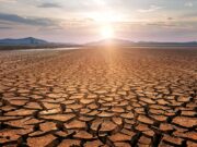 Maroc : face à une sécheresse historique, une crise hydrique mondiale se profile
