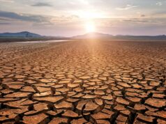 Maroc : face à une sécheresse historique, une crise hydrique mondiale se profile