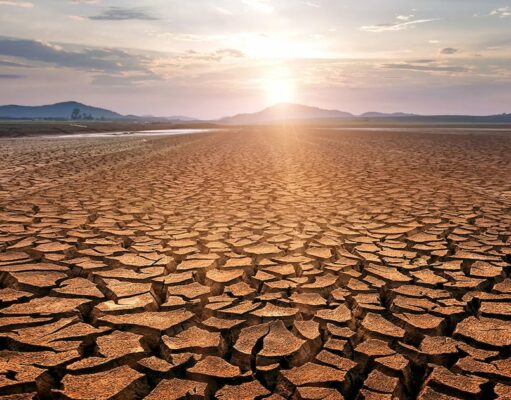 Maroc : face à une sécheresse historique, une crise hydrique mondiale se profile