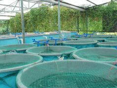 Projets structurants pour stimuler l’aquaculture d’ici 2027