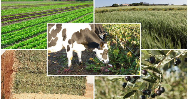 La pluie booste l'économie : prévision de 80 millions de