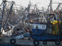 Suspension des exportations de sardines congelées : la FENIP alerte sur un choc industriel et social dans les Provinces du Sud