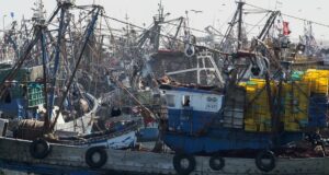 Suspension des exportations de sardines congelées : la FENIP alerte sur un choc industriel et social dans les Provinces du Sud