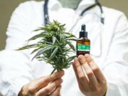 L’ANRAC place la qualité au centre de la régulation du cannabis