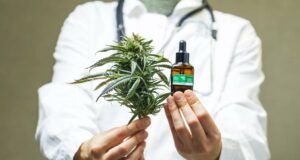 L’ANRAC place la qualité au centre de la régulation du cannabis