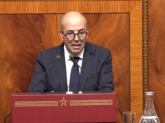 Amélioration significative des indicateurs de la campagne agricole en céréales, maraîchage et élevage, d’après Ahmed Bouari