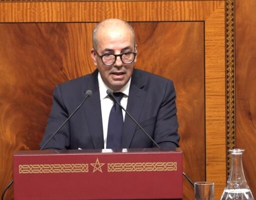 Amélioration significative des indicateurs de la campagne agricole en céréales, maraîchage et élevage, d’après Ahmed Bouari