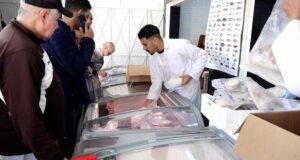 Demande élevée à Salé pour la sardine congelée à prix attractif