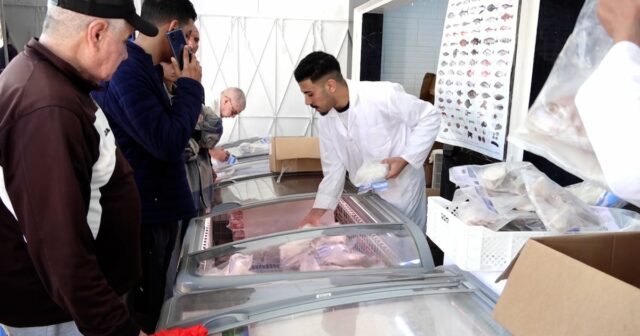 Demande élevée à Salé pour la sardine congelée à prix