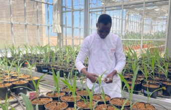 Sahara : l’ASARI valorise la science pour les agriculteurs à Foum El Oued