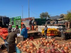 Pourquoi les fruits et légumes sont plus chers au marché de gros de Fès ?