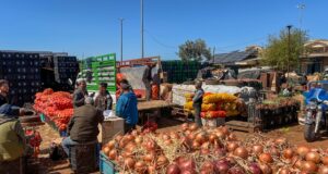 Pourquoi les fruits et légumes sont plus chers au marché de gros de Fès ?