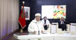 Gaspillage alimentaire : le CESE recommande une stratégie nationale et une loi anti-gaspillage